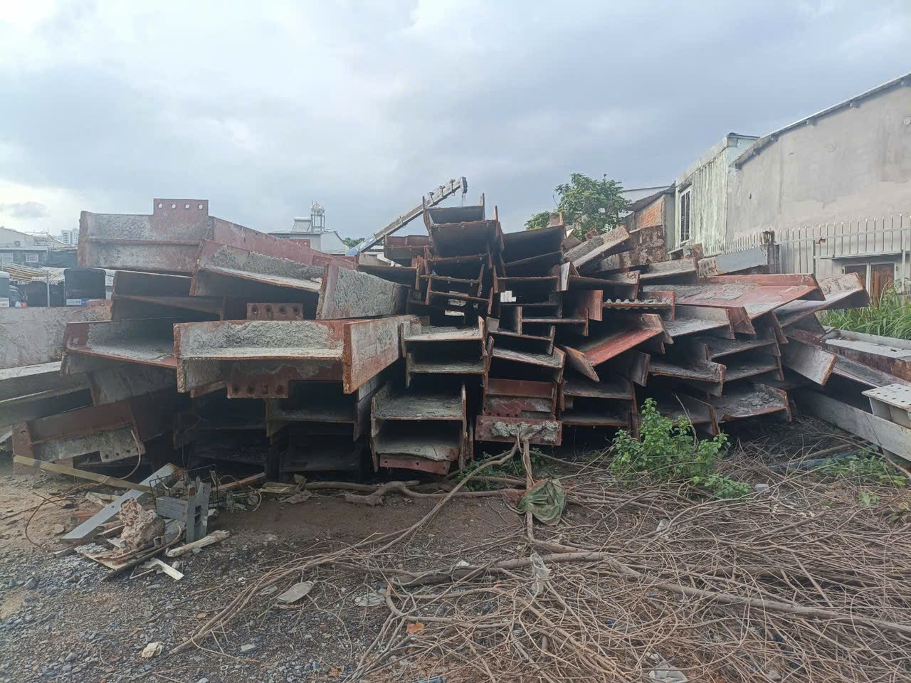 mua phe lieu tai binh thuan