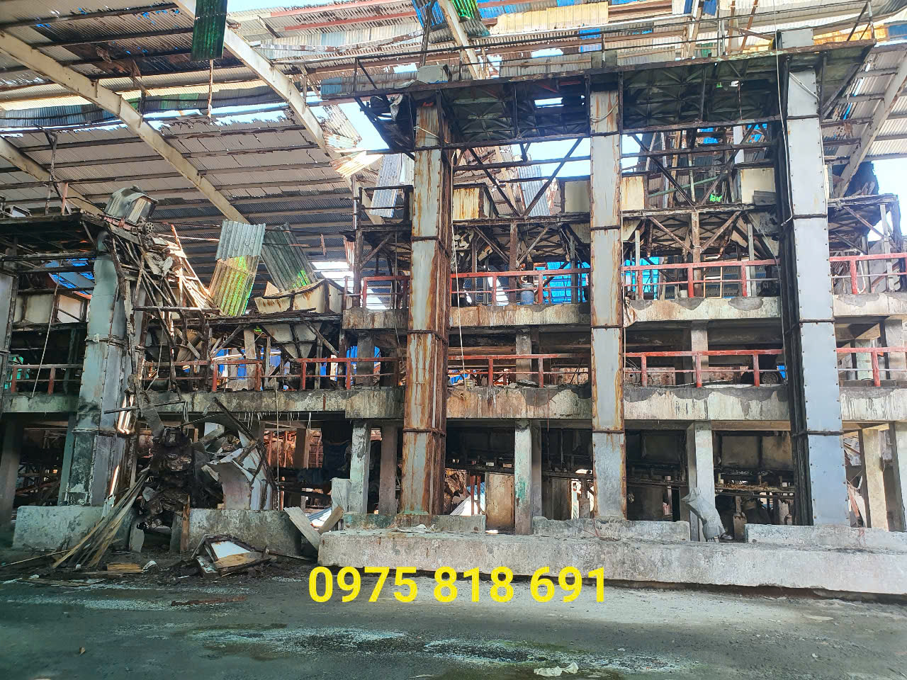 mua phe lieu tan phu